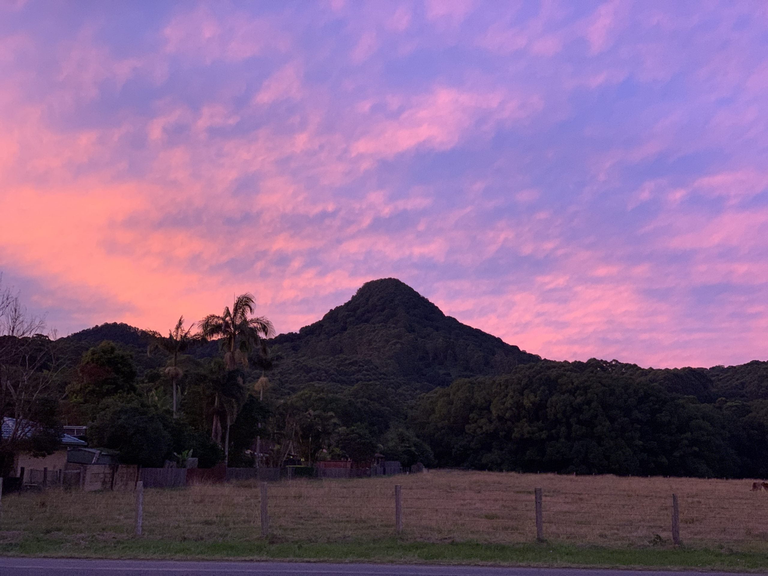 Mount Chincogan at sunset beneath a soft pink sky in Mullumbimby, NSW